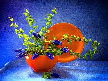 Tangerine & blue, blue, plate, green, vase, blue flowers, tangerine HD wallpaper