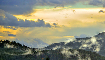 Morning Mist, mist, fullcolour, art , morning, trees, sky, beautiful, mountains HD wallpaper