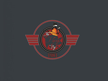 The Flying Pig ll, jrc, flying, camar, pig HD wallpaper