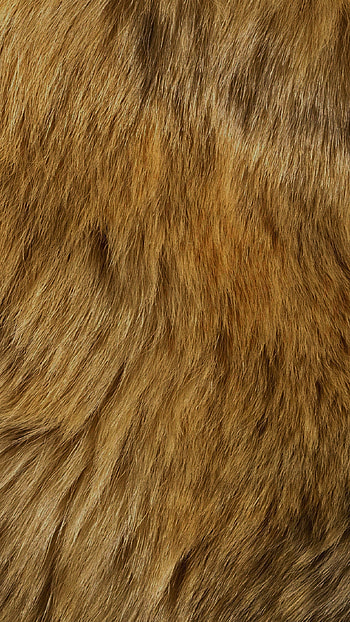 Fur , Cozy textures, Comfortable backgrounds, Soft and fluffy HD phone wallpaper