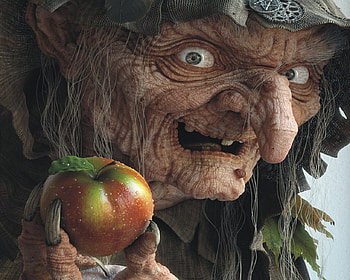 Mother in law, apple, uggly, with, woman HD wallpaper