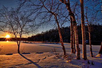 A serene winter sunset casting shadows on a frozen lake surrounded by snow and trees. HD wallpaper