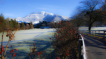 berries along a frosty glen, winter, frost, glen, berries, road, mountain HD wallpaper