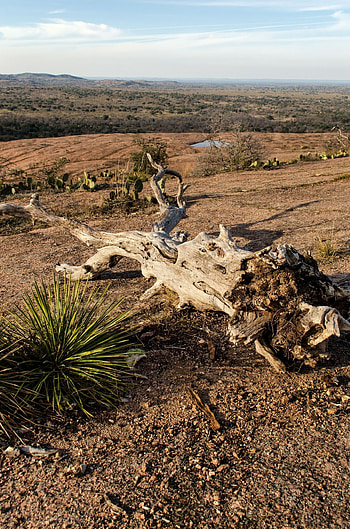 Desert landscape in Texas Hill Country, Scenic beauty, Unique geography, Desert graphy HD phone wallpaper