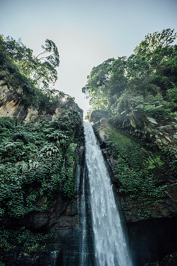 Nature, Trees, Bush, Waterfall, Break, Precipice, Vegetation HD phone wallpaper