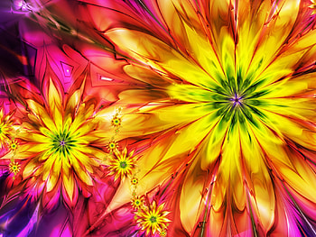 Flower Art, artwork, colors, petals, blossoms HD wallpaper