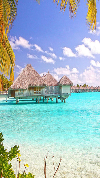 Blue Lagoon, The Bahamas HD phone wallpaper