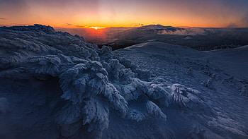 Snow Covered Frozen Trees Field Mountains With Fog During Sunset Winter HD wallpaper