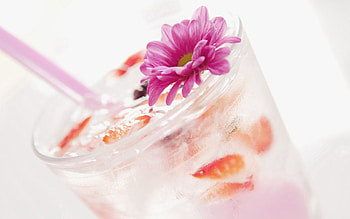 Food, Ice, Flower, Decoration, Drink, Beverage, Cocktail HD wallpaper