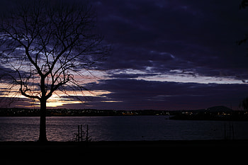 Water, Sunset, Lights, Dark, Silhouette, Wood, Tree HD wallpaper