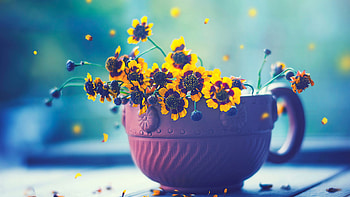 Flowers In Cup, cup, flowers HD wallpaper