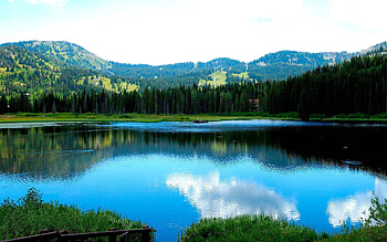 Nature, Trees, Grass, Mountains, Lake HD wallpaper