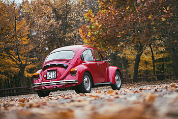 Volkswagen, Cars, Back View, Rear View HD wallpaper