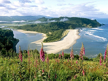 Cascade Head Oregon, nature, landscaps, beach HD wallpaper