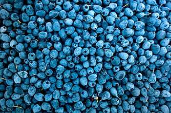 A vibrant close-up of ripe blueberries showcasing freshness and rich blue hues, perfect for healthy eating themes. HD wallpaper