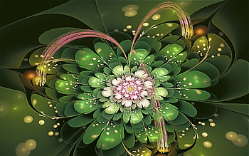 Abstract, Pink, Flower, Petals, Fractal HD wallpaper