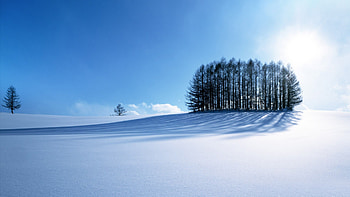 Scenery – View 1920 x 1080 HD wallpaper