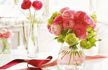 still life with ranunculus, still life, vase, flowers, ranunculus HD wallpaper
