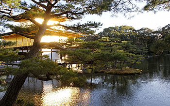 Nature, Water, Trees, Evening, Garden, Japan, Mansion HD wallpaper
