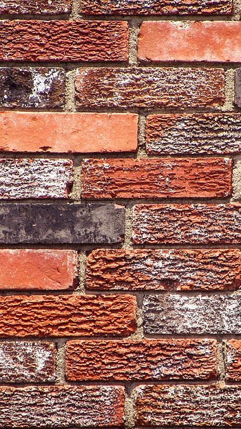graphy, Brick walls, Artistic vision, Textured appeal HD phone wallpaper