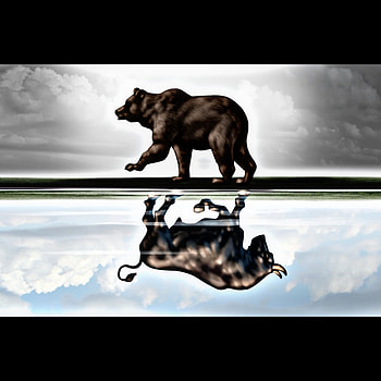 Bulls vs Bears, trading, forex HD phone wallpaper