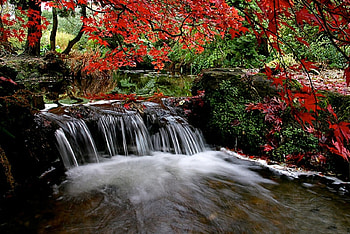 waterfall, autumn, water, forest, fall HD wallpaper