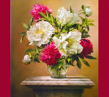 Holiday blooms, white, holiday, peonies, red, vase, flowers HD wallpaper
