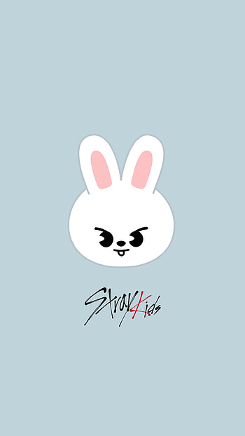 Leeknow Skzoo, SKZ, StrayKids, Wallper, Fondo, Stay HD phone wallpaper