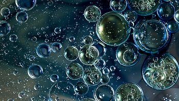 Oil Water Bubbles graphy graphy HD wallpaper
