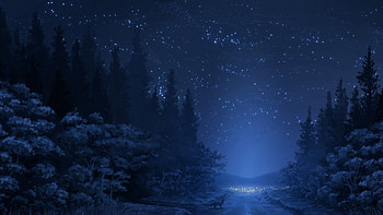road, Stars, Night, Fox, Forest, Trees, Anime / and Mobile Backgrounds HD wallpaper