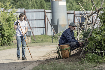The Walking Dead - Post-Apocalyptic Survival Scene, TV Show, The Walking Dead HD wallpaper