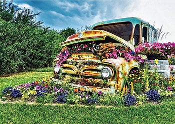 flower truck, retro, chevrolet, flowers, trucks HD wallpaper