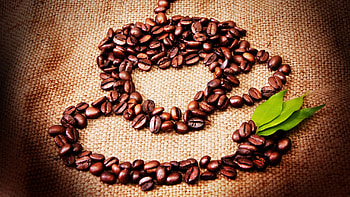 Leaves, Coffee Beans HD wallpaper