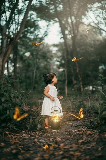 Butterflies, Miscellanea, Miscellaneous, Forest, Path, Lantern, Lamp, Child HD phone wallpaper