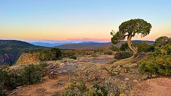 Black Canyon of the Gunnison National Park at Sunset, Colorado, tree, hills, colors, landscape, sky, usa, sunset HD wallpaper