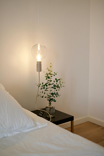 Interior, Miscellanea, Miscellaneous, Branch, Lamp, Room, Light Bulb HD phone wallpaper