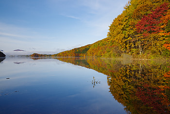 Nature, Trees, Autumn, Lake, Reflection HD wallpaper