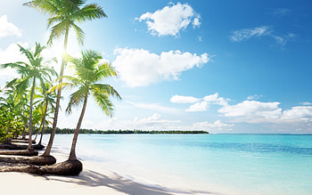 Landscape, Sea, Beach, Palms HD wallpaper