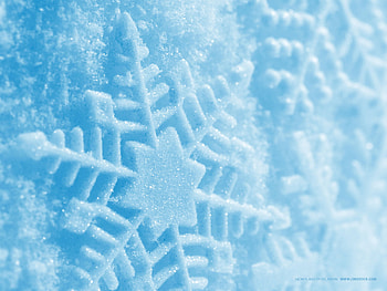Winter, Background, Snow, Snowflakes HD wallpaper