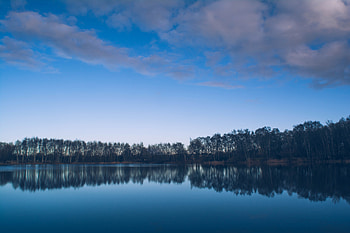 Nature, Rivers, Trees, Lake, Reflection HD wallpaper
