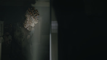 The Last Of Us (2023), TV Show, The Last Of Us HD wallpaper