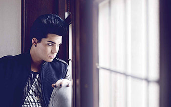 Adam Lambert, , , High definition HD wallpaper
