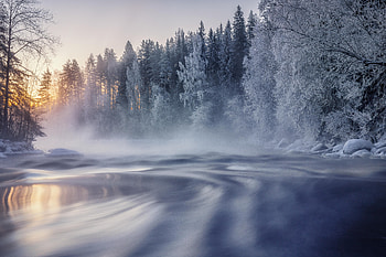 Cold Winter , winter, nature HD wallpaper