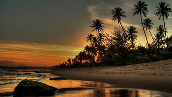 Dawn At Tangalle Beach, palms, sea, island, sand, Sri Lanka, beautiful, sunrise HD wallpaper