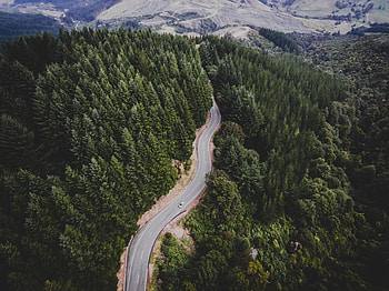 Nature, Trees, View From Above, Road, Movement, Traffic HD wallpaper