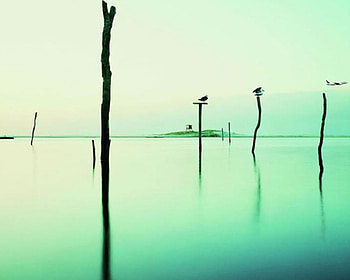 Eerie World, plane, green tinge, water HD wallpaper