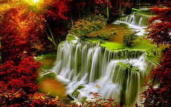 Autumn Cascade, falls, leaves, red, trees, waterfall, autumn, nature HD wallpaper