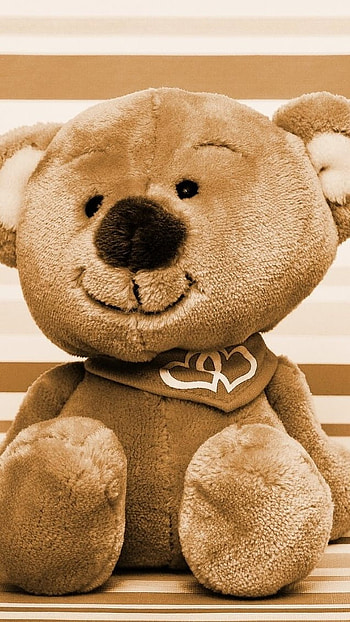Cute Teddy Bear, Brown Teddy, Cute HD phone wallpaper