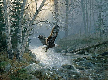 By Persis Clayton, kitten, river, eagle, art, cat, mist, persis clayton, painting, fly HD wallpaper