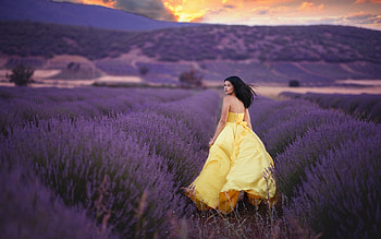 Lavender field and a lady, model, field, female, woman, lavender HD wallpaper
